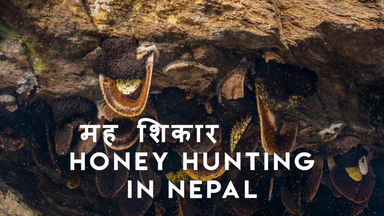 Mad Honey Hunters of Nepal – Photo Feature & Documentary