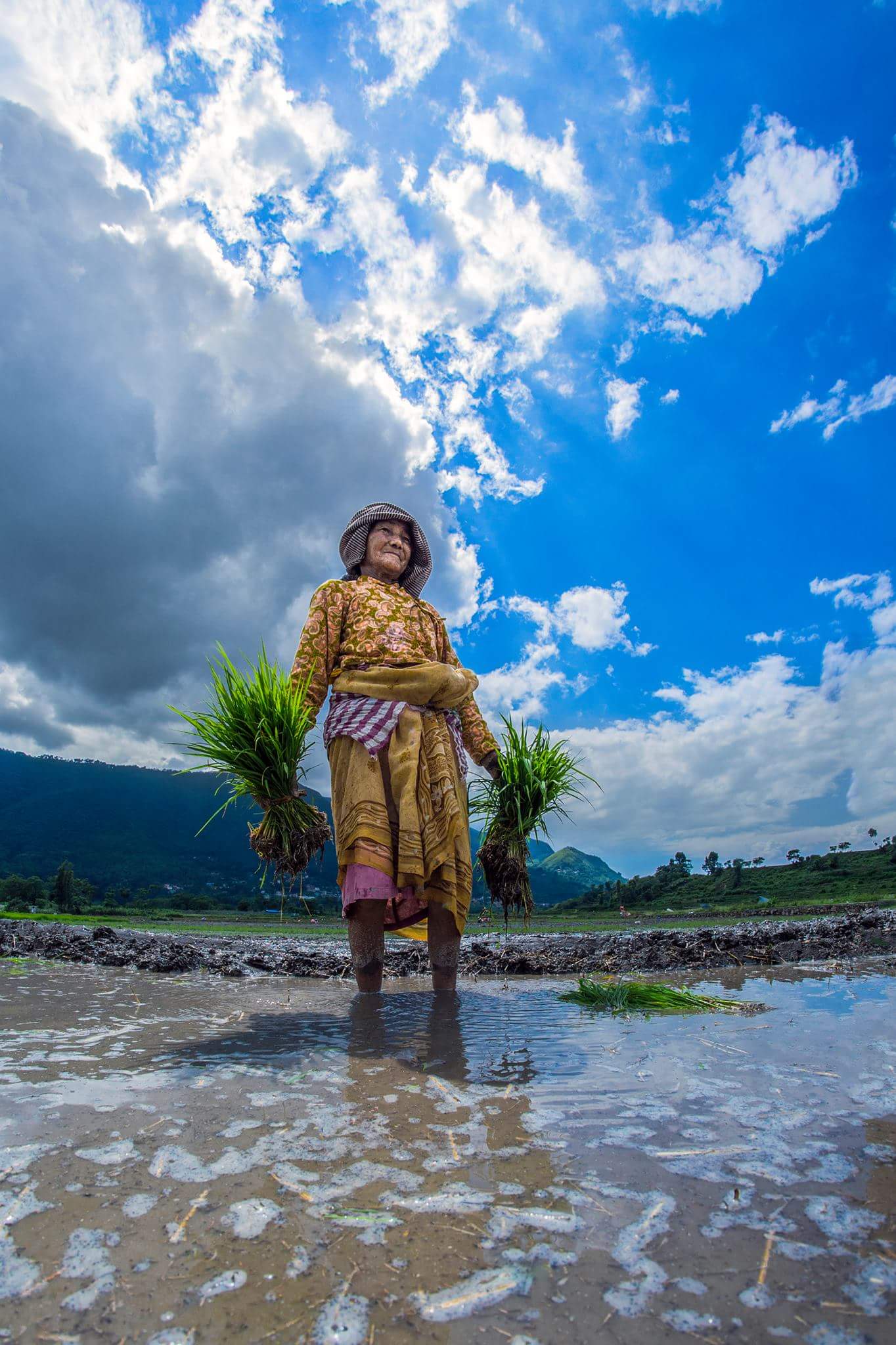 Best photos of Rice Planting Festival in Nepal - Nepal 8th Wonder