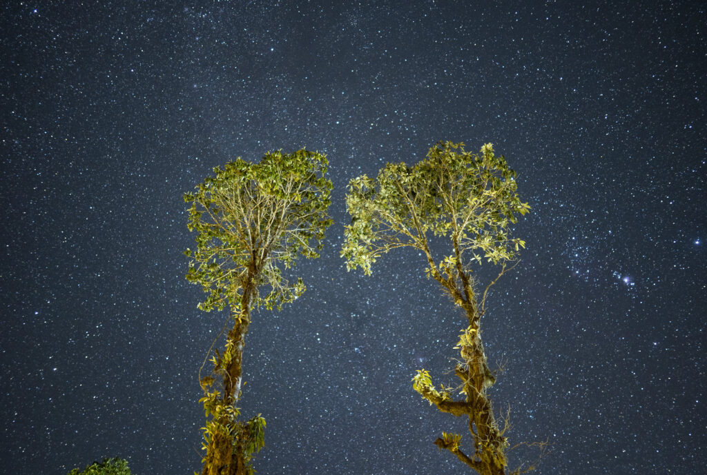 Stars above Pitam Deurali. Photo:  Amir Shrestha