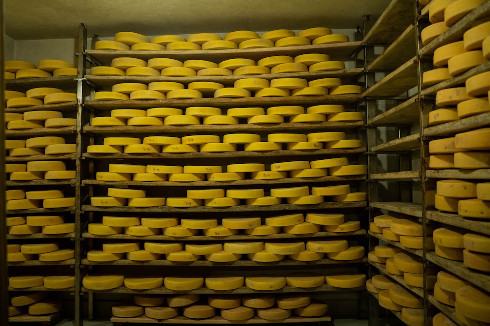 Inside of a Cheese Factory in Ilam. Photo: Abhishek Dhakal