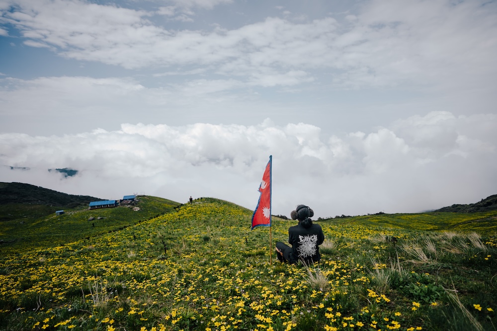 The vast field covered with colorful flowers at Kori