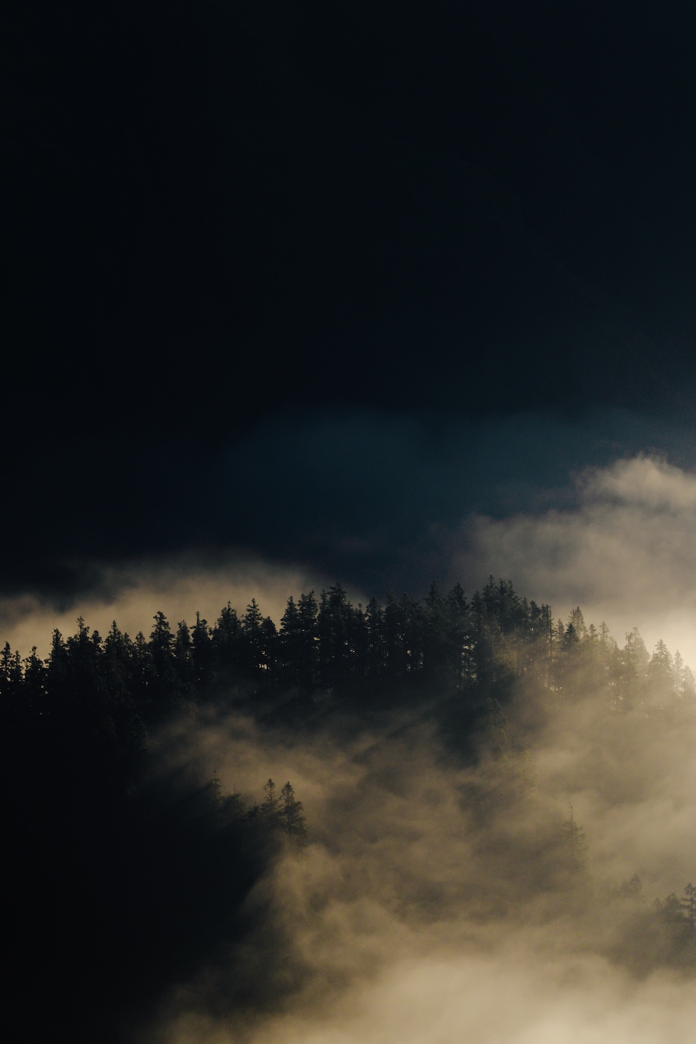 Dhorpatan’s serene pine forests.