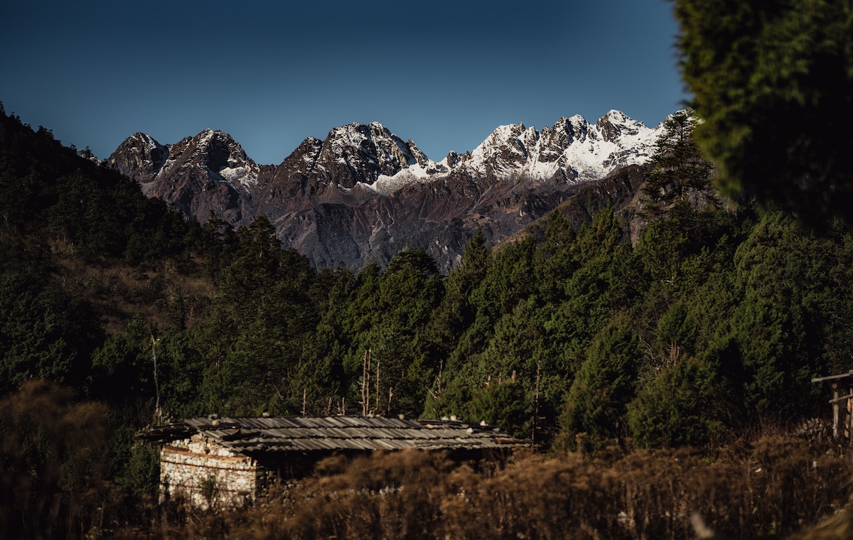 The Himalayas seen from Nepemacchal.