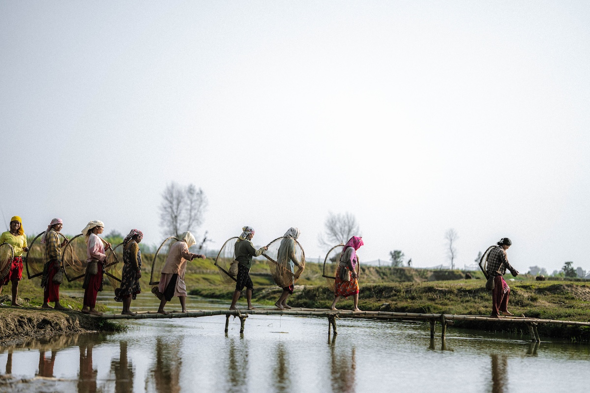 Finding fresh Ghongi where the water meets the shore.