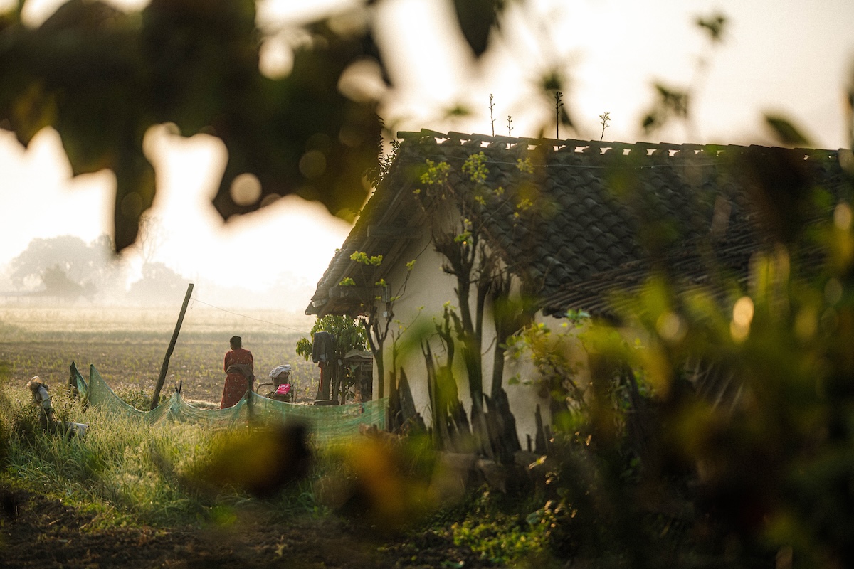 Starting the day early as the morning light breaks over the fields.